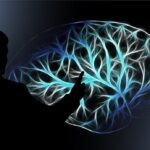 brain, turn on, training, read, a book, school, to learn, think, reflect, judge, recall, wonder, strain your mind, give thought, weigh up, switch, brain, brain, brain, brain, brain, training, reflect, reflect, reflect, judge, judge, judge, judge, recall, recall, recall, wonder, switch